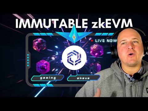 How Immutable is revolutionizing the gaming industry with zkEVM rollout | by Dads Gone Crypto