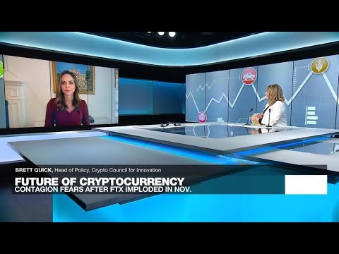 What next for crypto? Industry faces new challenges after rollercoaster year • FRANCE 24 English