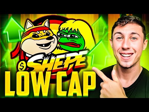 SHEPE Meme Coin TINY MARKET CAP Crypto Gem - Will SHEPE 100X?