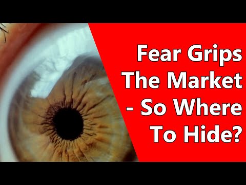 Fear Grips The Market - So Where To Hide?